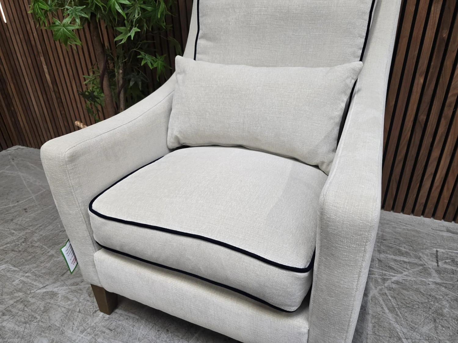 picture of seat cushion on the iggy armchair